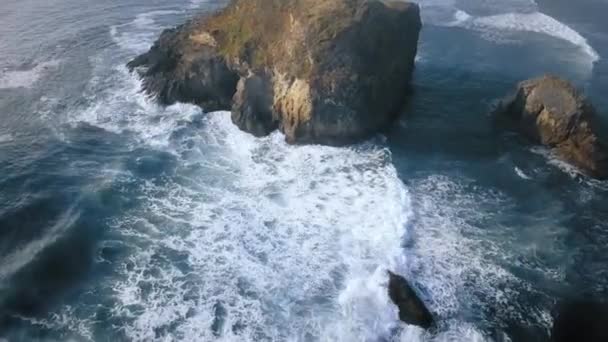 Vue aérienne des vagues moussantes autour d'une falaise Ariyas Beach, Oregon, États-Unis — Video