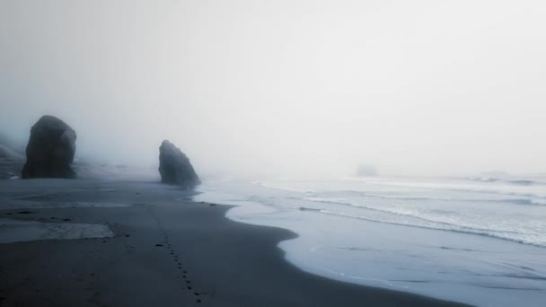 Aerial shot of the coast, ocean waves, cliffs and dense fog Ariyas Beach, Oregon, USA — 비디오