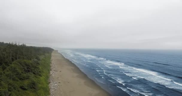 Drone utsikt över tät skog i dimma med hav och väg Ruby Beach, Olympic National Park, Washington, Usa — Stockvideo