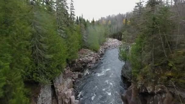 Bir derenin, dağların ve yoğun sonbahar ormanlarının hava görüntüleri Aguasabon Şelaleleri, Ontario, Kanada — Stok video