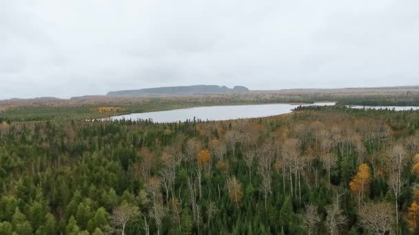 Vue aérienne de la cime des arbres et d'un petit lac, avec une montagne à l'horizon prise par un drone Lac Marie Louise, Ontario, Canada 