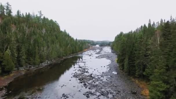 Cámara de drones se mueve hacia el horizonte a lo largo de un río poco profundo en un denso bosque otoñal Río Kaministiquia, Ontario, Canadá — Vídeo de stock