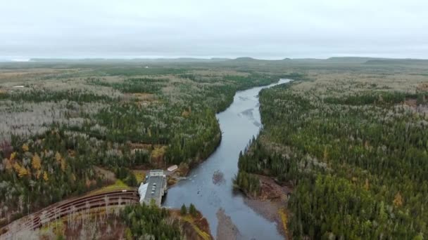 Drone sobe acima do rio raso e floresta interminável Rio Kaministiquia, Ontário, Canadá — Vídeo de Stock