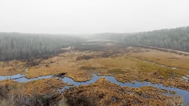 Drone circula sobre el río en un bosque muerto bajo una espesa niebla McGillivray Falls, Manitoba, Canadá — Vídeos de Stock