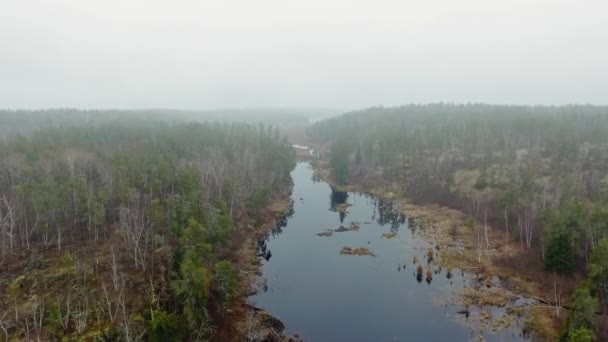 Drone vola lungo uno stagno tra le rive con foresta autunnale e orizzonte nebbioso McGillivray Falls, Manitoba, Canada — Video Stock