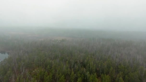 Filmagem aérea da floresta de outono em nevoeiro pesado Manitoba, Canadá — Vídeo de Stock
