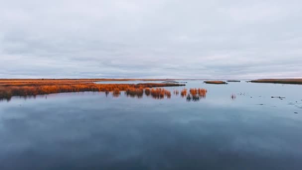 Drone kamera glider längs sjön ytan och närmar sig vegetationen i den nedgående solen North Shoal Lake, Manitoba, Kanada — Stockvideo