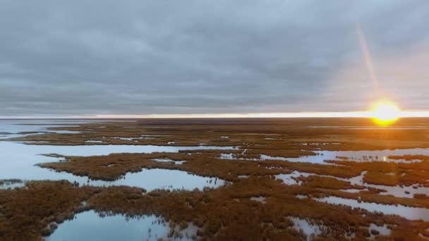 Drohnen-Kamera filmt überwucherten See und Sonnenuntergang am Horizont North Shoal Lake, Manitoba, Kanada — Stockvideo