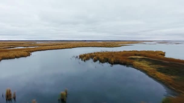 Drone camera beweegt over het spiegeloppervlak van het meer met struiken op een bewolkte dag North Shoal Lake, Manitoba, Canada — Stockvideo