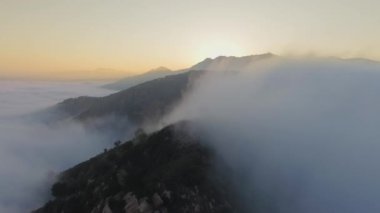 Malibu Kanyonu, Calabasas, Kaliforniya, ABD 'de bir dağ manzarasında sis ve bulutlarla orman üzerindeki hava manzarası 