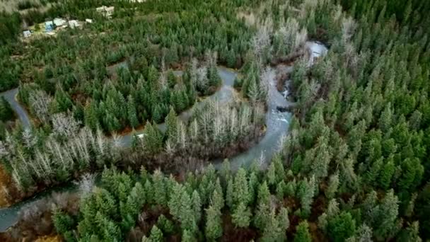 Overhead εναέρια κάμερα πυροβολεί συστροφή ποτάμια με γρήγορη ροή σε ένα πυκνό δάσος, σπίτια γύρω από το ξενοδοχείο στην Αλάσκα, ΗΠΑ — Αρχείο Βίντεο