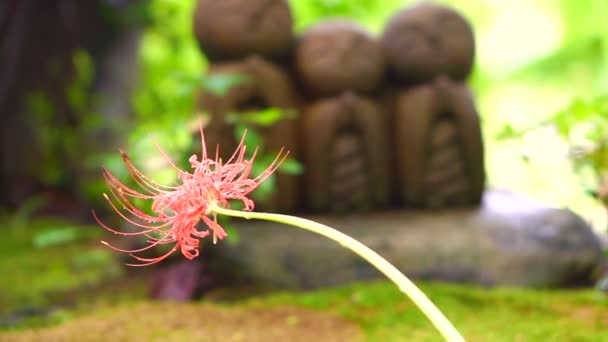 Budist koruyucu ruh Japonca inanıyorum çocukların sevimli taş keşiş heykel Jizo heykeli (Ksitigarbha) olduğunu — Stok video