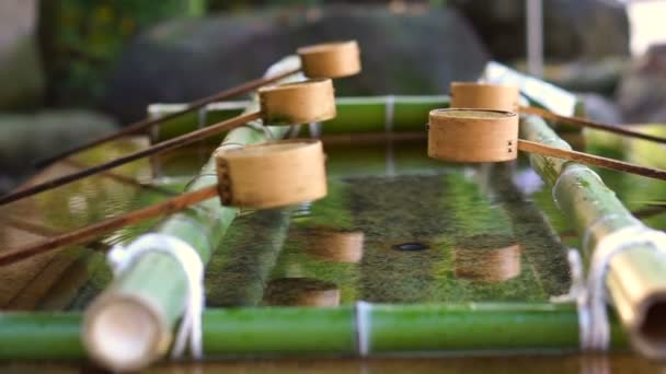 Primer plano de vídeo de las manos de personas que toman agua con cucharón de bambú para limpiar su mano antes de entrar en el templo japonés — Vídeos de Stock