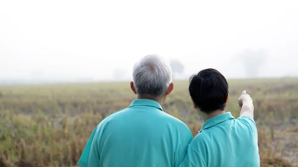 Potrait av asiatiska senior par på ljusa gröna bak — Stockfoto