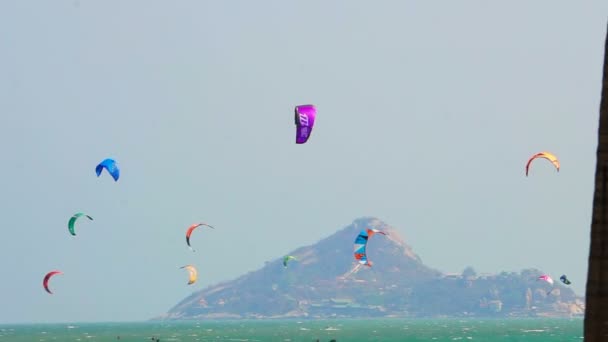 Sok suhan, szörfözés, kite board szörfözés sport játszott az óceán — Stock videók