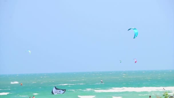 Molti scivolano surf, kite surf da tavolo sport che giocano nell'oceano — Video Stock