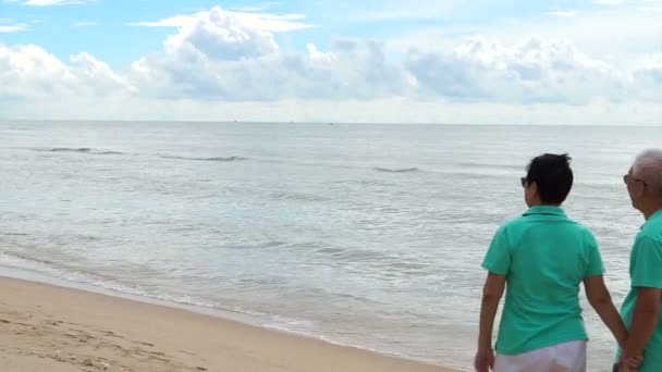 Asian senior couple walking happily by the beach. holding hand and talk with each other — Stock Video