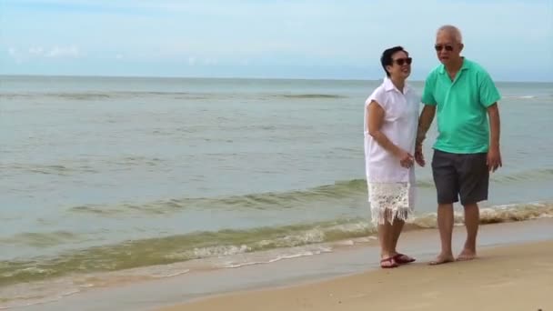 Ein asiatisches Seniorenpaar spaziert fröhlich am Strand entlang. Händchen halten und miteinander reden — Stockvideo