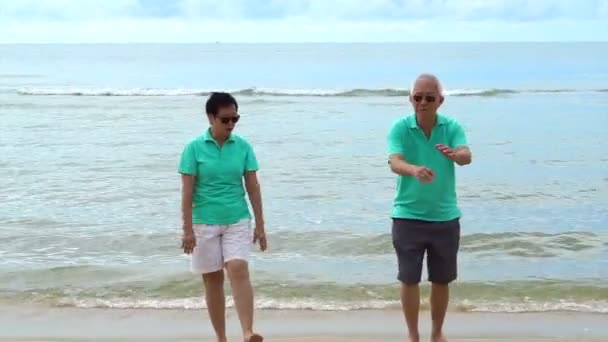 亚洲的年长夫妇快乐地走在海滩上。拿的手和互相交谈 — 图库视频影像
