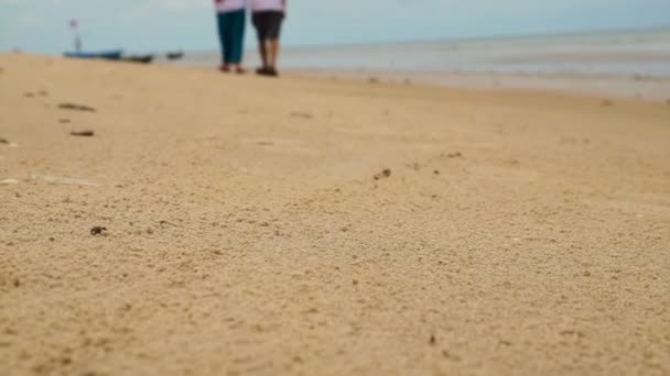 アジア シニア カップルがビーチでうれしそうに歩いて。よく計画退職生活金融問題はないです。 — ストック動画