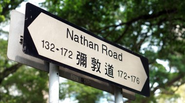 Hong Kong Nathan Road yeşil ağaç arka plan üzerinde oturum