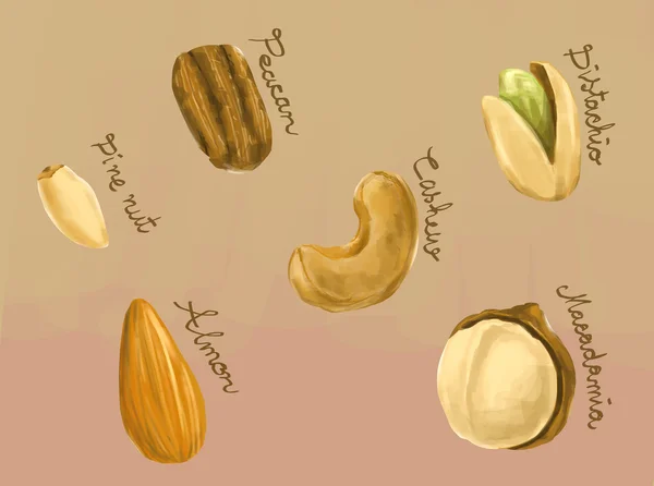 Digitale Malerei gesunder Nüsse Macadamia, Peace-, Cashew-, Pinien-, Mandel- und Pistazienillustration — Stockfoto