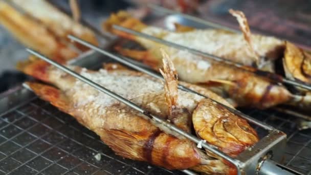 Máquina de assar peixes inteiros, grelha de peixe vermelho com carvão vegetal — Vídeo de Stock