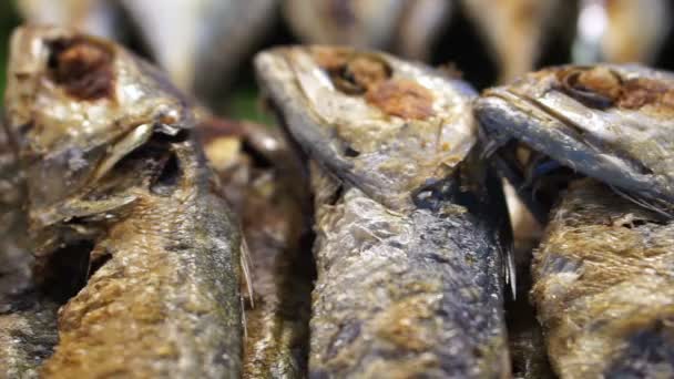 Thai fried short-bodied mackerel, local popular fish for Thailand — Stock Video