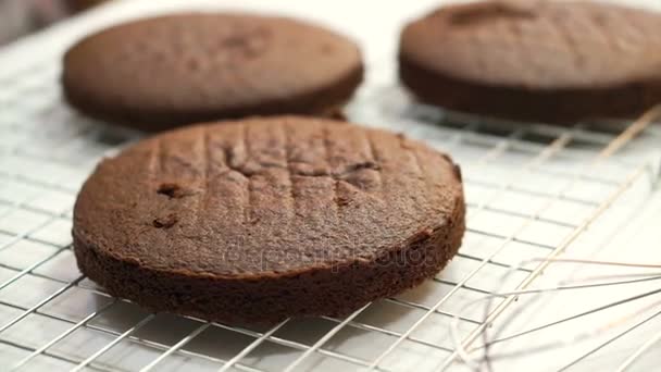 Esponja de pastel de chocolate después de hornear al horno, ingrediente de la clase de pastel de pastelería — Vídeo de stock