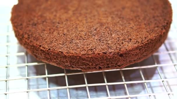 Schokoladenkuchen Biskuit nach dem Backen im Ofen, Konditorei Kuchen Klasse Zutat — Stockvideo