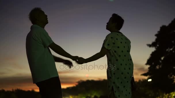 Asiático casal sênior silhueta com céu de manhã cedo e fundo da lua. Vida segura e feliz abstrato — Vídeo de Stock