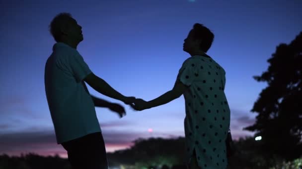 Asiatische Senioren Paar an der Hand genießen Moment des glücklichen Lebens zusammen mit magischen Stunde Himmel und Mond Hintergrund — Stockvideo