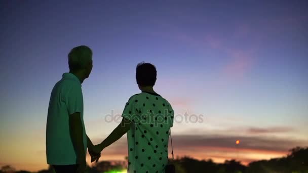 Silhouette asiatique senior tenant la main au bord du lac. Tôt le matin avant le lever du soleil. Belle nature — Video
