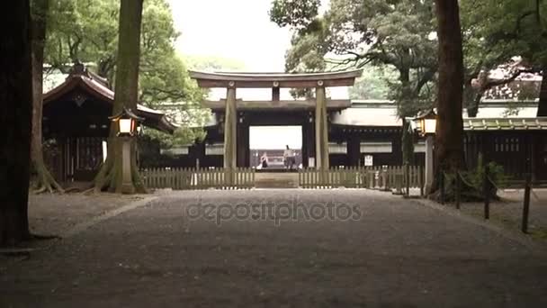 Tokio, Japonsko - září 2016: Krásná dřevěná Meidži svatyně tori brána — Stock video