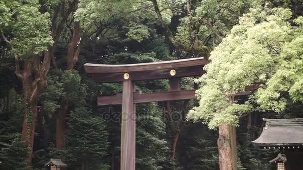 Tóquio, Japão - setembro de 2016: Porta de tori de santuário Meiji de madeira bonita — Vídeo de Stock