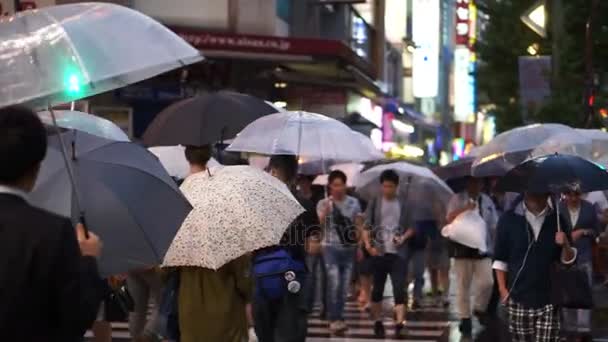 Tokyo, Japan - September 2016: Crowd, Japanese people and tourist walking with umbrella in Akihabara area — Stock Video