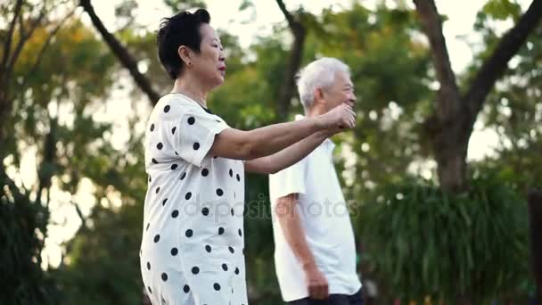 Asiática senior pareja bailando aeróbico ejercicio en el parl. Riendo y divirtiéndose juntos — Vídeo de stock