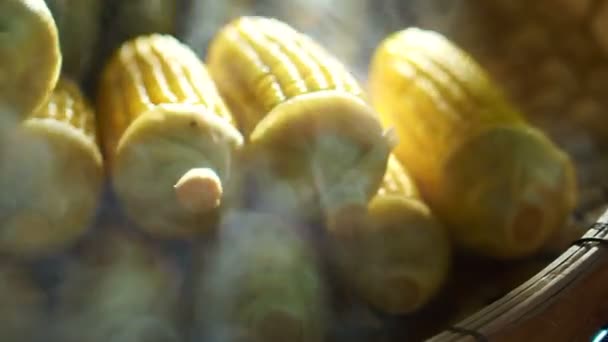 Mazorca de maíz al vapor en la luz del sol de la mañana en el mercado asiático — Vídeo de stock