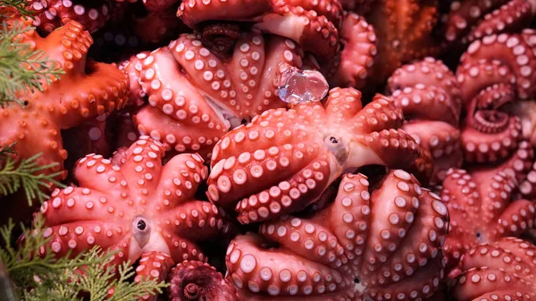 Japanese style fresh octopus selling at tsukiji fish market — Stock Photo, Image