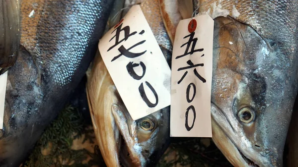 在日本鱼市场的新鲜整个三文鱼出售 — 图库照片
