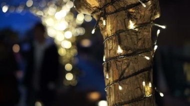Güzel tatil aydınlatma ağaç gövdesi Noel ışık ile dekore edilmiştir. 