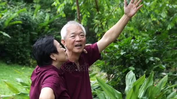 Asiatiska senior par promenader och kontrollera deras melon på deras bakgård trädgård — Stockvideo