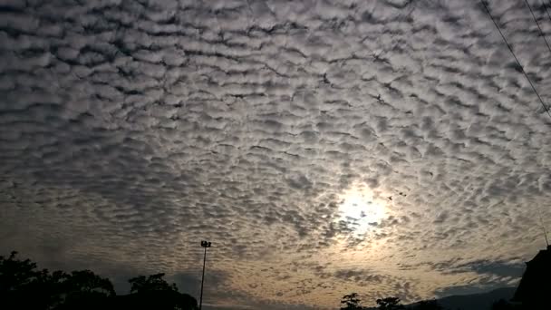 Beautiful Altocumulus stratiformis translucidus undulatus crazy cloud shape and sunset — Stock Video