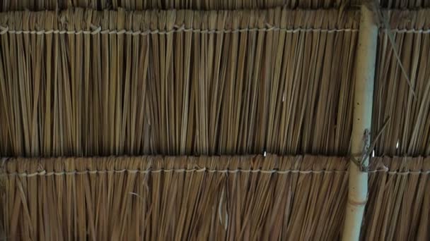 Asian traditional grass straw roof construction design from inside — Stock Video