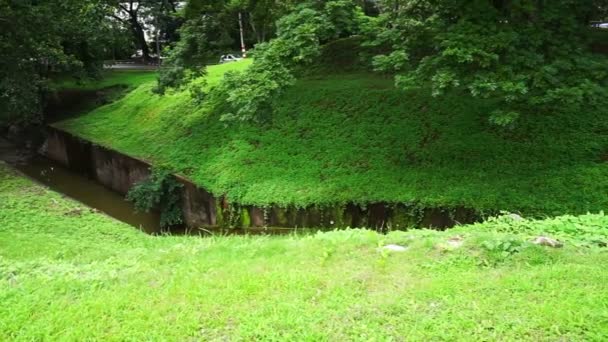 Canal de canal de água pequena através de verde exuberante parque, gramado e árvore — Vídeo de Stock