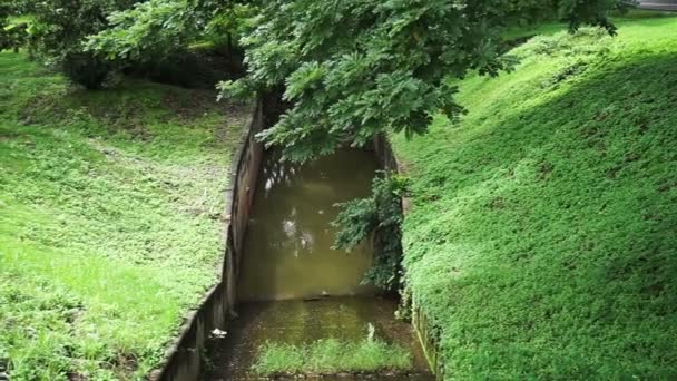 Canal de conducto de agua pequeño a través de verde exuberante parque, césped y árbol — Vídeo de stock