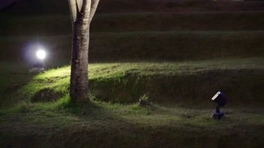 Çim Bahçe, ağaç uplight. Peyzaj ve tasarlanmış park aydınlatma