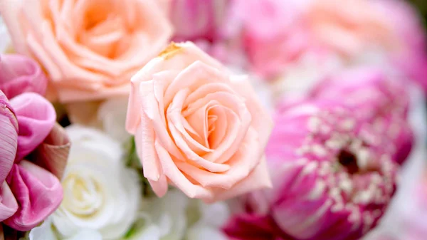 Roze rozen en lotussen flower romantisch Valentijn achtergrond met — Stockfoto