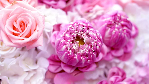 Rosa rosas e lótus flor Páscoa e conceito de beleza ocidental — Fotografia de Stock