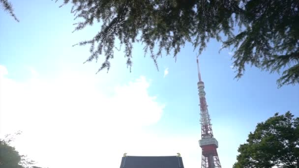 โตเกียว ประเทศญี่ปุ่น - กันยายน ค.ศ. 2016: มุมมองของสถาปนิกหอคอยสีแดงของโตเกียวที่อยู่เบื้องหลังวัดซูโจจิในท้องฟ้าฤดูร้อนที่สดใส สถานที่ท่องเที่ยวที่มีชื่อเสียง — วีดีโอสต็อก